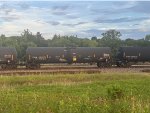 TCBX 305171
